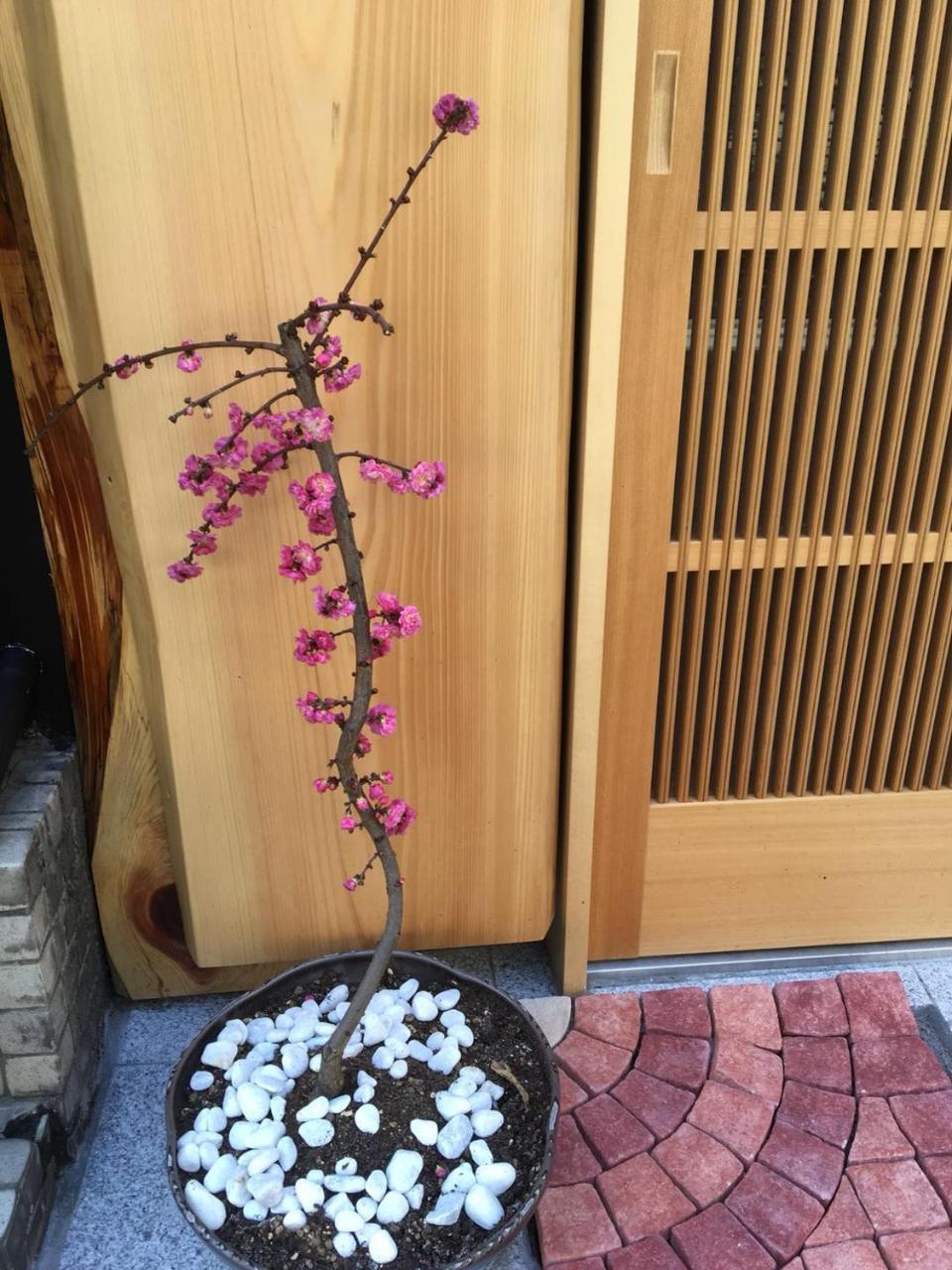 美築八坂 Apartman Kiotó Kültér fotó